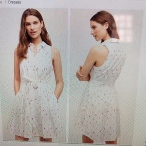 Anthro HD Paris Popsicle Paleta Dress 4